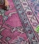 Dog Bewildered by Fidget spinner