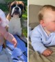 Best friends: Baby and doggy share special bond