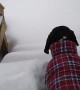 Pup Plows Down Snowy Steps