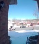 FedEx Delivery Man Slides Down Front Yard