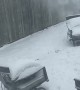 Rude Neighbor Sends Snow Over Fence