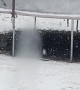 Snow Loving Doggo Bounces on Trampoline