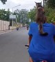 Cat Goes for Ride on Biking Human's Shoulders
