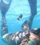 Free Diver Doing Training Finds Tiny Animal