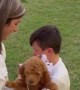 Son's Emotional Reaction to New Goldendoodle Puppy