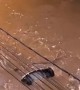 Extreme flooding captured on camera in Petropolis, Brazil
