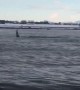 Kayaker Meets Killer Whales