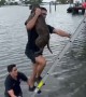 Dog rescued after falling into bay at Miami Beach