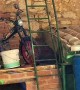 Clever Dog Climbs Ladder With Ease
