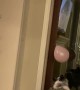 Australian Shepherd Loves Playing with Balloon
