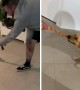 Golden Retriever loves to play drifting version of tug-of-war