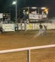 Rodeo Rookie Gets Bump From Bull