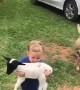 Kid Has His Hands Full on the Farm