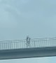 Stormtrooper Stands Guard Over Highway