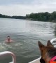 Dog Falls off Boat