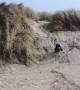 Dog Gets Face Full of Sand at the Beach