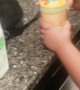 Kid Learns the Difference Between Buttermilk and Milk