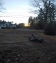 Wild Wipeout for Playful Pup