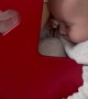Baby Sleeps in Doll's Stroller