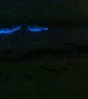 Glowing Blue Algae Waves Crash into Beach