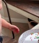 Kiddo Decorating Christmas Cone Trees Slips and Hits Table