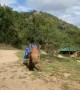 Baby Rhino Running Around with Her Favorite Blankie
