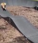 Dog Runs Through BMX Track