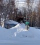 Moose Feasts From Top of Snow Hill