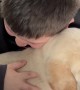Boy Gets Puppy Surprise for His Birthday
