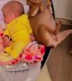 Baby and Chihuahua Share Cradle