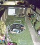 Security Camera Catches Foxes Playing on Trampoline