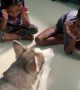 Kids Play Peekaboo with the Dog