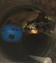 Kitten Rescued from a Deep Well