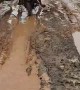 Biker Skillfully Drives Passengers Through Muddy Road