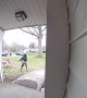 Dogs Take Out Porch Beam