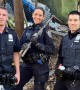 Police officers help rescue over a dozen chickens