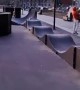 Dog Loves Doing Laps at Skate Park Pump Track