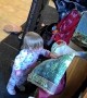 Toddler Takes Cash Out of Grandma's Purse