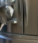 Great Dane Knows How to Use Ice Machine
