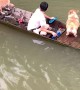 Boat Sinks with Corgis and Kid Inside
