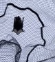 Catching a Bat Mid-Air with a Fishing Net