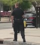 Police Help Escort Black Bear in Downtown Asheville to Safety