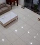 Cat Can't Get Past Glass