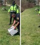 Police rescue 13 ducks from a parking lot
