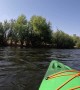 Wild Horses Cross River in Front of Kayakers