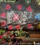 "Hug Here" Chalk Art Creates Heartwarming Moments