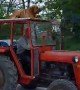 Dog Goes for a Ride on Top of a Tractor