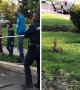 Police rescued ducklings from a storm grate and reunited them with their mom
