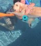 Using Pool Noodles to Keep Golden Floating While Cuddling