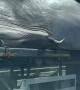 Transporting a Massive Whale Prop on the Highway